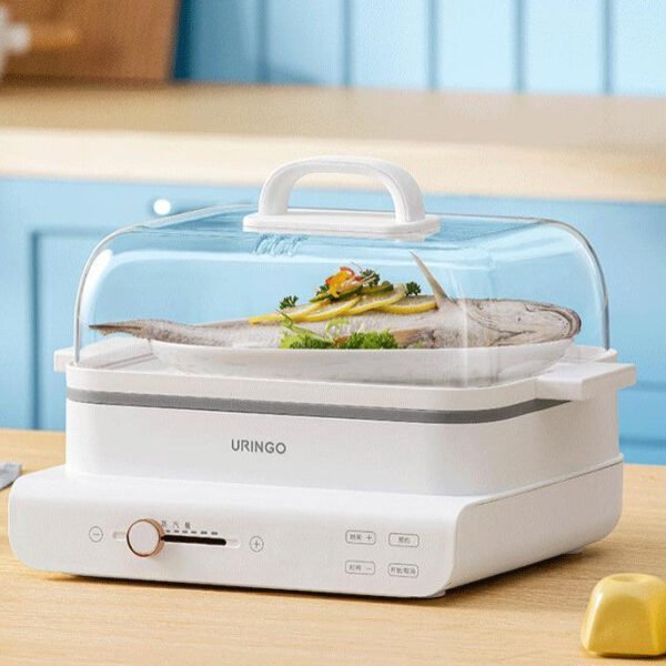 Household Small Multi Function Electric Steamer