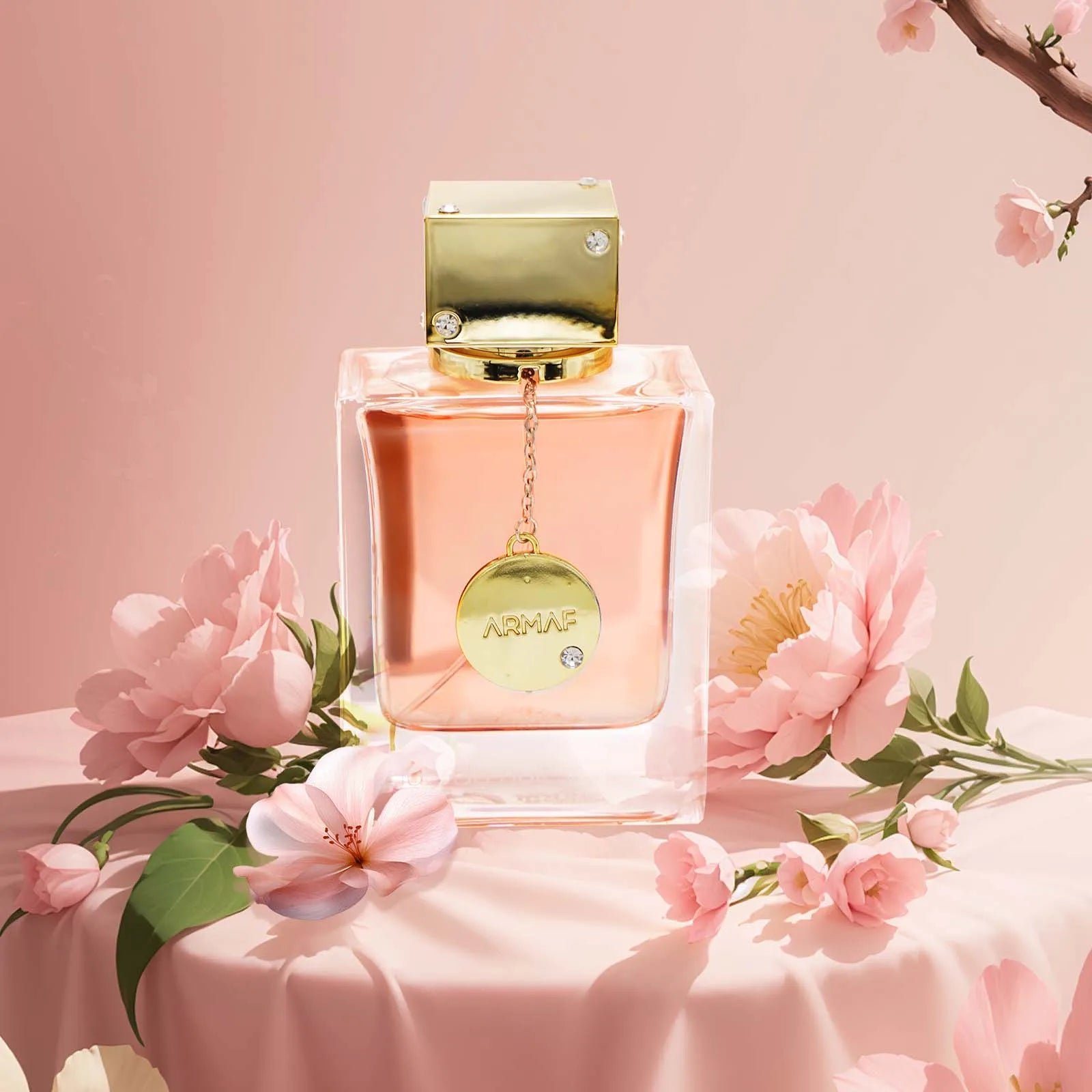 Ae6206d81e1584310a228eaab78a81705n